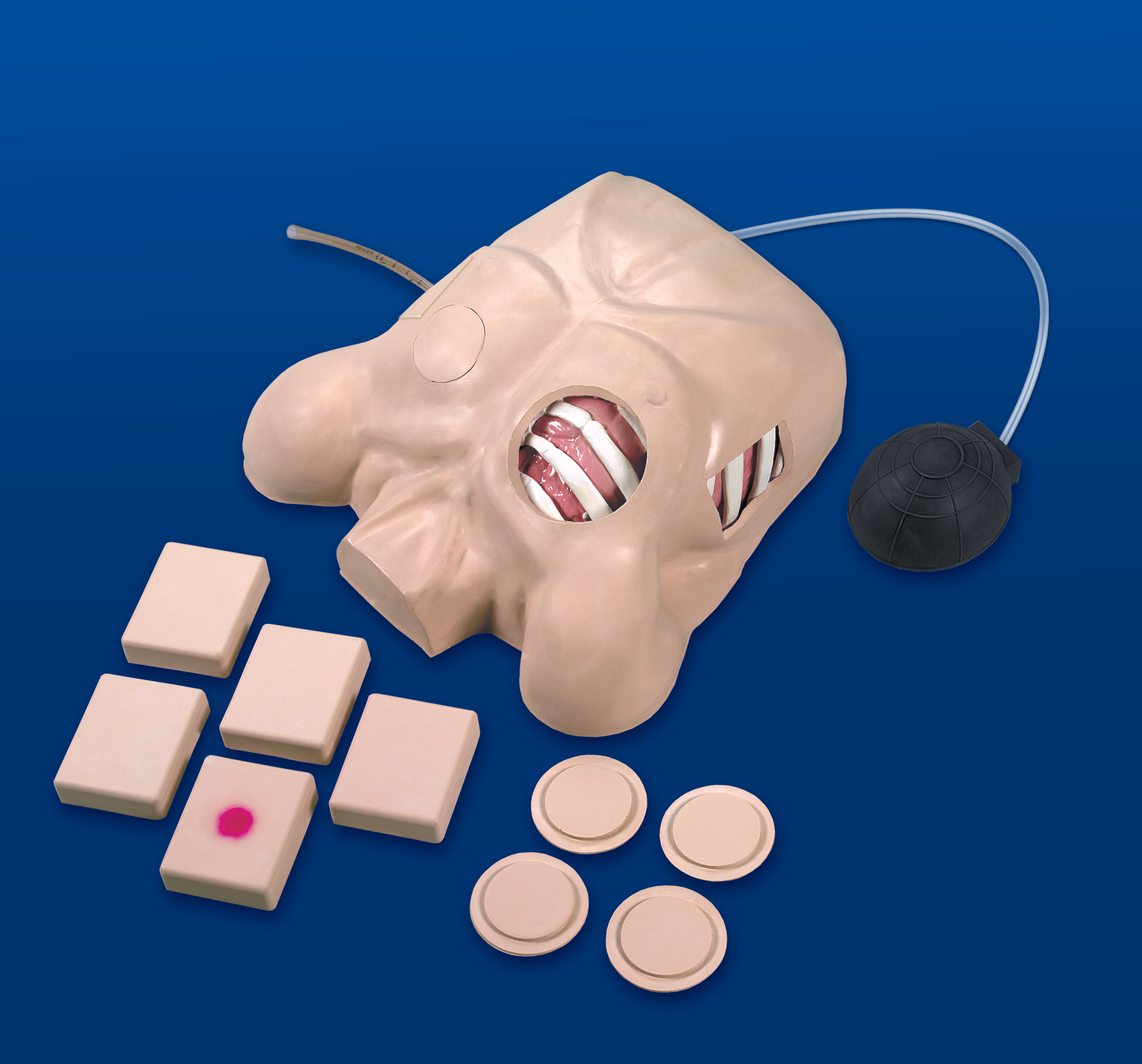 Chesttubemanikin 10045237