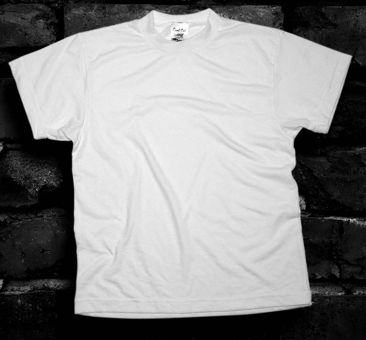 Coolcatdrireleasetshirts 10041216