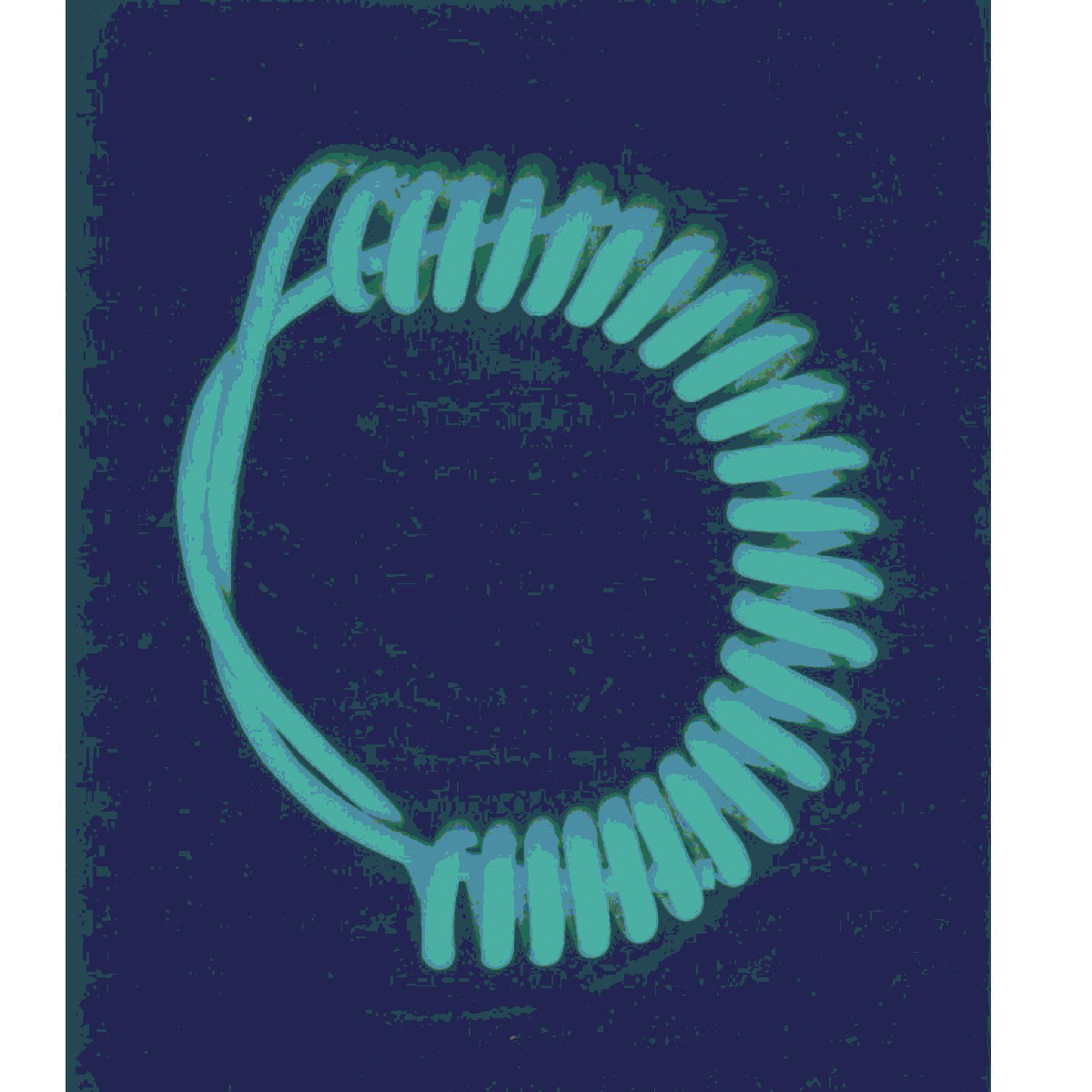 Glowinthedarkretracticlecord 10041081