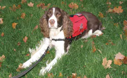 Harvest 10040585 Harvest 10040585