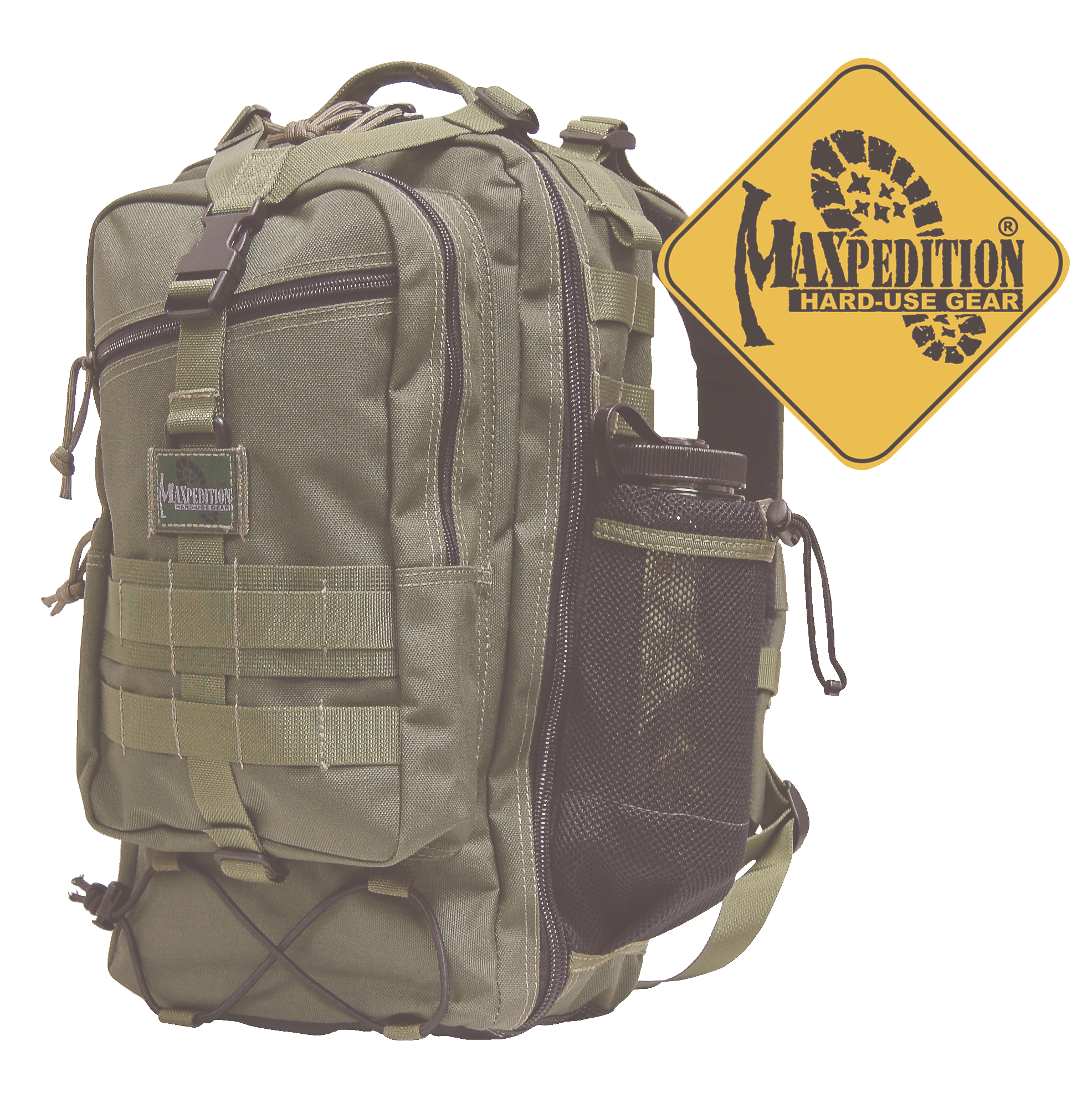 Pygmyfalconii 10044812