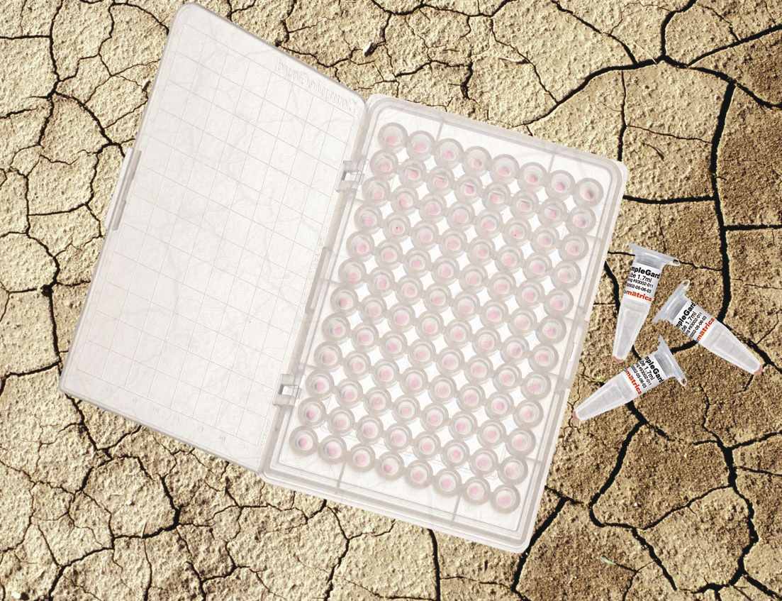 Samplematrixsamplegardsampleware 10041262