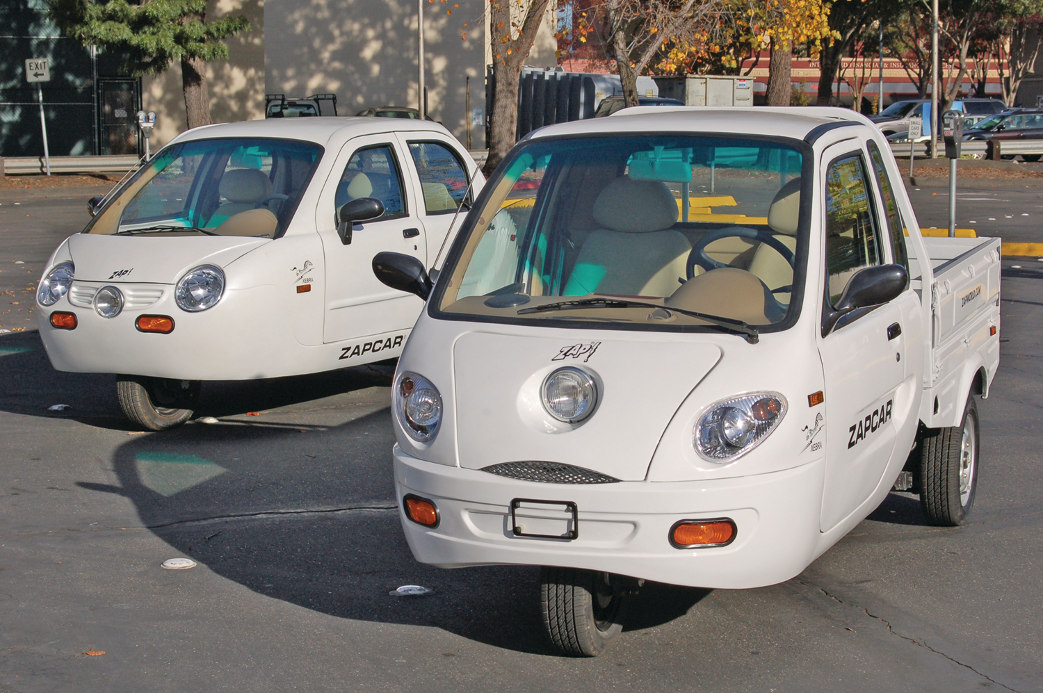 Xebrasedantruck 10047730