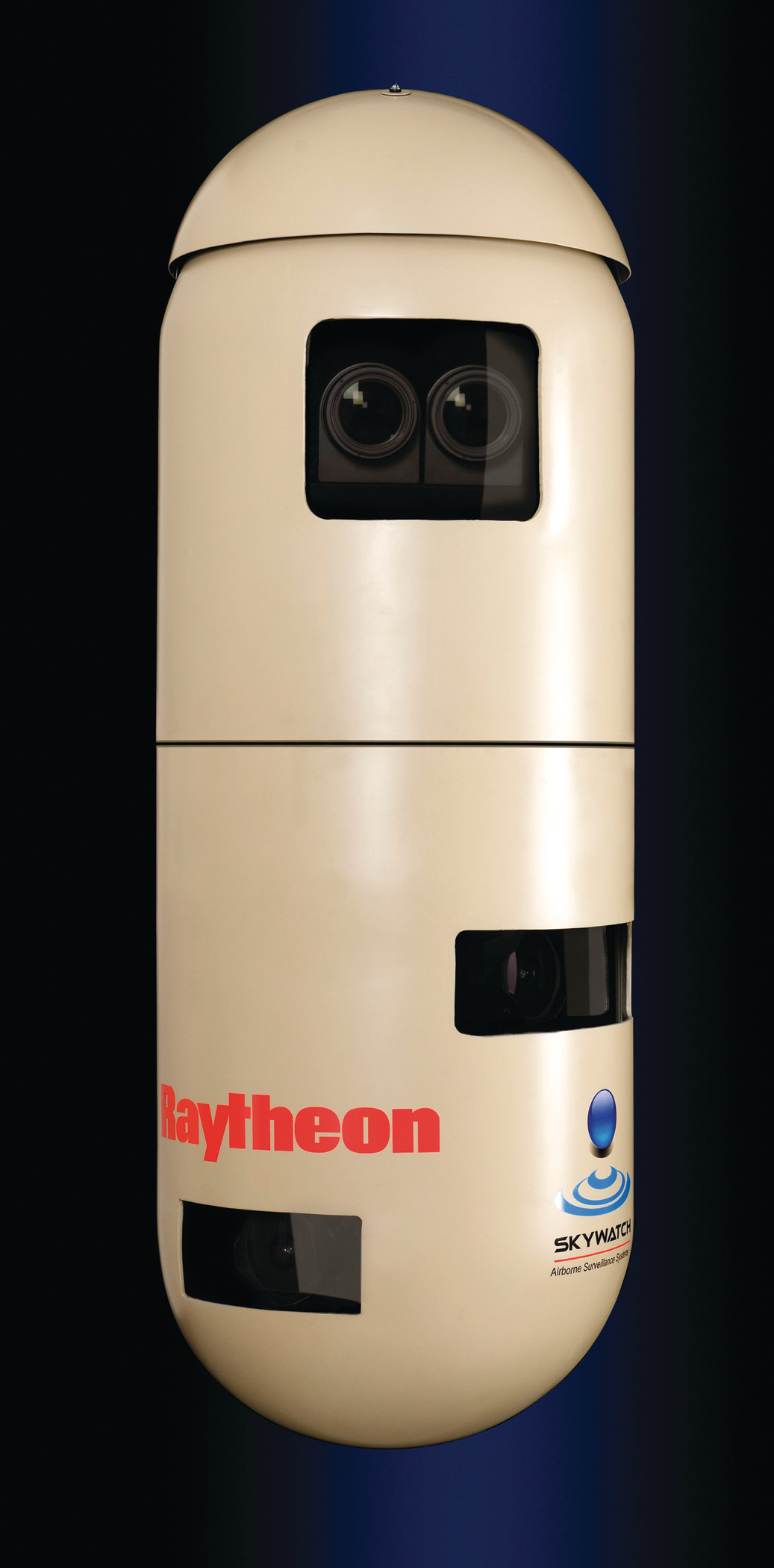 Eagle300sensor 10048436