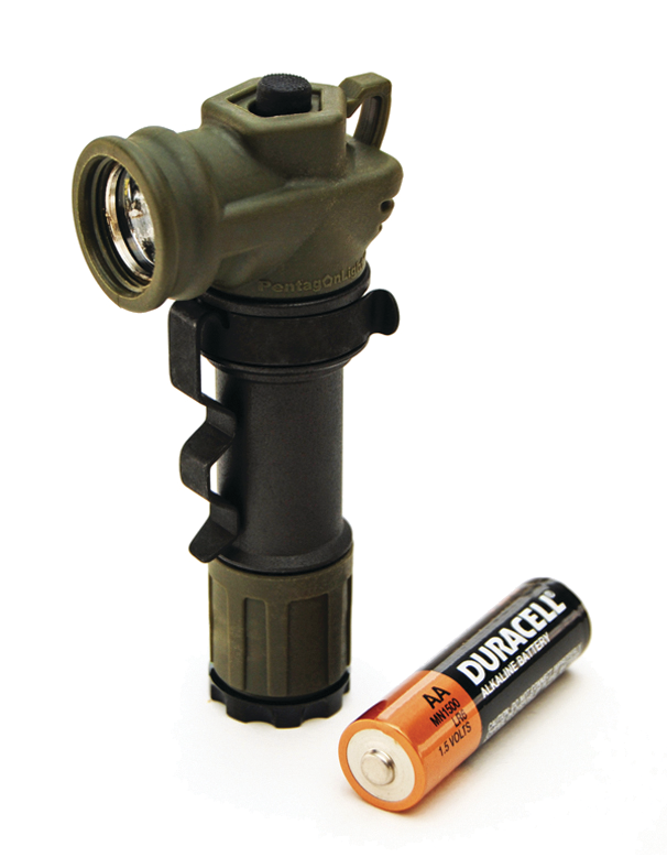 Mollelightforest 10048861