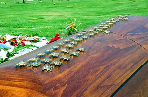 SEAL Michael Monsoor's coffin covered with the gold SEAL emblems placed by his brothers in arms.