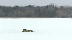 Howlongcanyouwatch 10245125 Howlongcanyouwatch 10245125