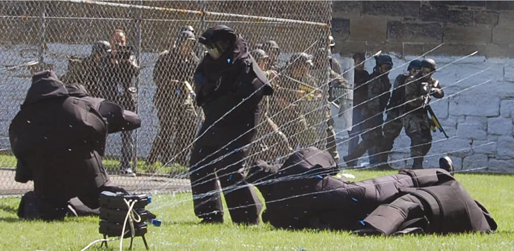 Tasershockwave 10050134