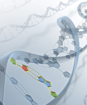 Barrierstoreasonablebehavior 10233559