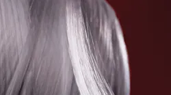 Goldshieldballisticmaterial 10051853 Goldshieldballisticmaterial 10051853