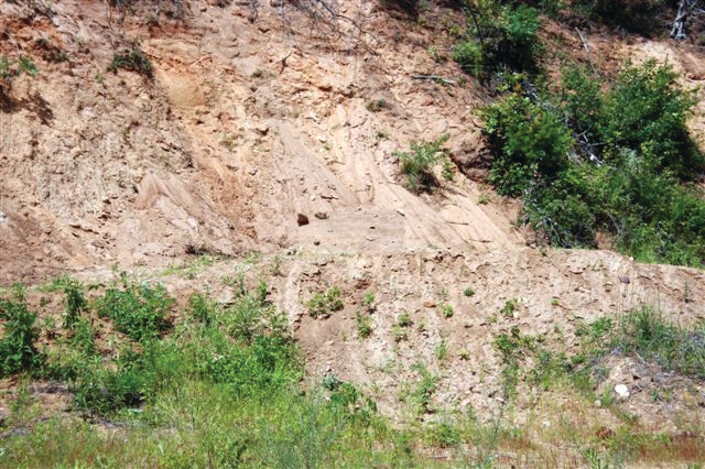 Shadowshieldsniperhide2008innovationawardswinnersurveillance 10052182