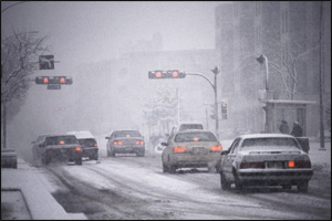 Redlightgreenlight 10233168