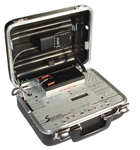 Sentinelradioalarm 10052418