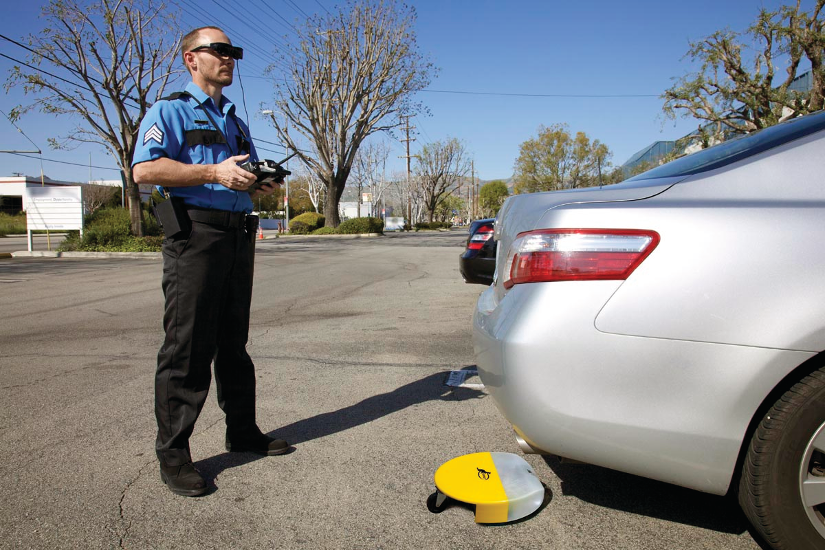 Newferretaction 10170048