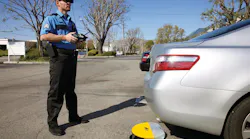 New Ferret Action New Ferret Action