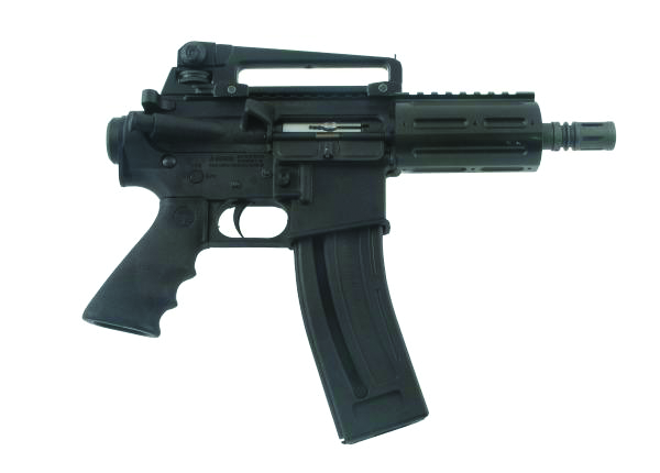 22lrhandgun 10219613