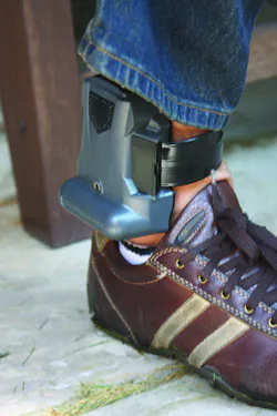 Img 2199 10241164 Img 2199 10241164