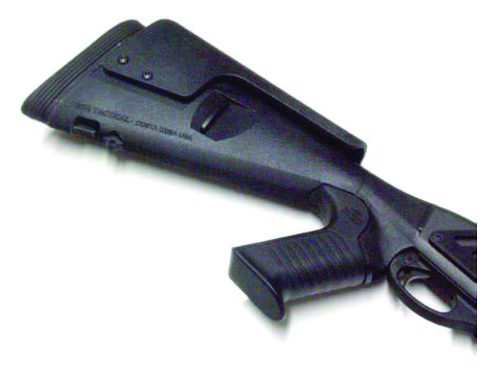 Urbinostockjpg 10247141