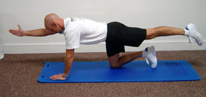 Quadraped extensions, using opposite arm and leg, are excellent for developing / increasing balance and muscle movement / endurance.