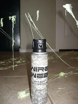 Img 1372 10343685 Img 1372 10343685