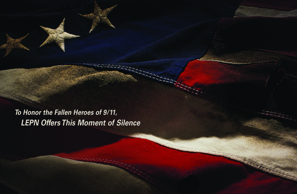 Lepn 911heroes 10344048