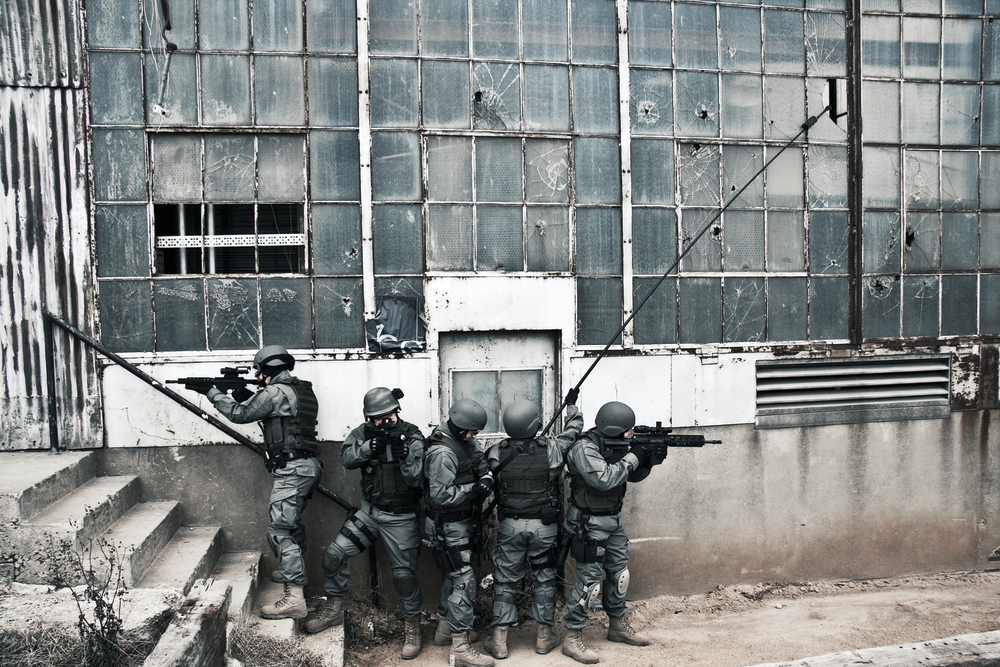 Lpss2 36054811 10361275