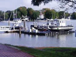 P10100013 10430330 P10100013 10430330