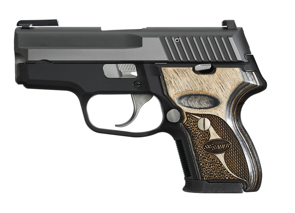 P224equinox 10623477