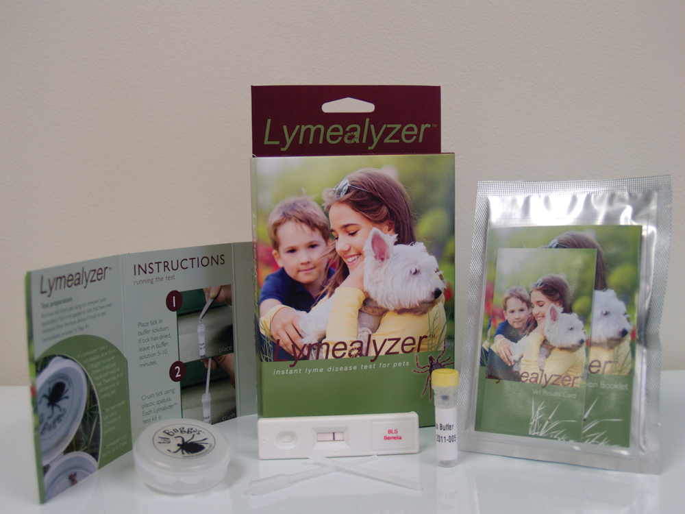 K9 Tick Lyme Dieases Testing L 10772094