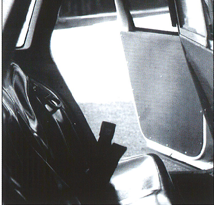 Side Panels Rear Door 10777922