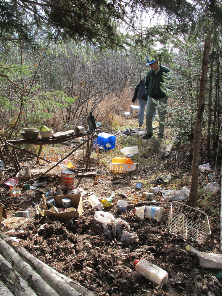 Authorities are seen at the Chequamegon-Nicolet National Forest in Wisconsin at the site of a suspected marijuana grow.
