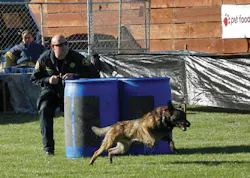 Selecting the handler is crucial... Selecting the handler is crucial...