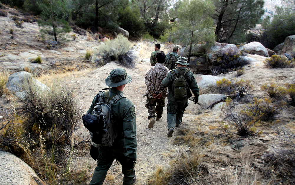 Wardens with the California Department of Fish and Game detain a pair of men during a raid on an illegal marijuana growing operation in the Sierra Nevada foothills.