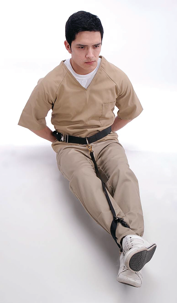 The Sitter 1 10850440