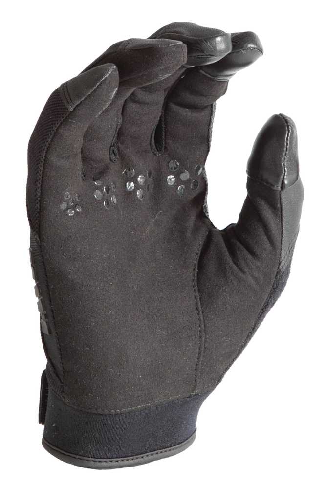 Cts100 Palmcropped 10880332