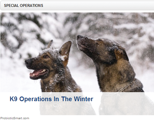 Special Operations 10895854