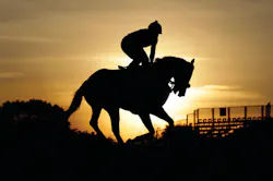 Oxbow gallops at Pimlico Race Course in Baltimore, Md. on May 17, one day before the Preakness Stakes horse race. Oxbow gallops at Pimlico Race Course in Baltimore, Md. on May 17, one day before the Preakness Stakes horse race.