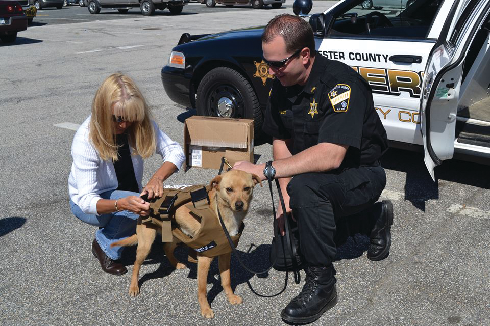 Kathy Doherty of Regency Police & Fire Supply, left, and Worcester County Sheriff's Sgt. Tom Chabot check out the fit for K-9 Nikita's vest in West Boylston, Mass.