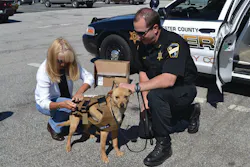 Kathy Doherty of Regency Police & Fire Supply, left, and Worcester County Sheriff's Sgt. Tom Chabot check out the fit for K-9 Nikita's vest in West Boylston, Mass. Kathy Doherty of Regency Police & Fire Supply, left, and Worcester County Sheriff's Sgt. Tom Chabot check out the fit for K-9 Nikita's vest in West Boylston, Mass.
