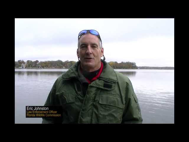 Sddefault 11109205 jpg