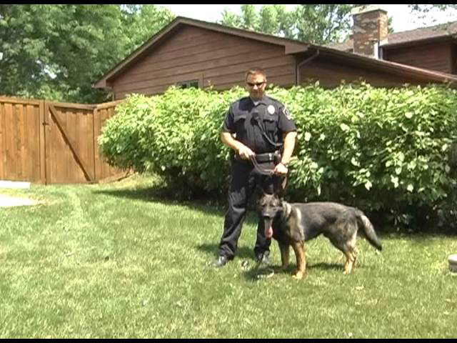 Sddefault 11117819 jpg