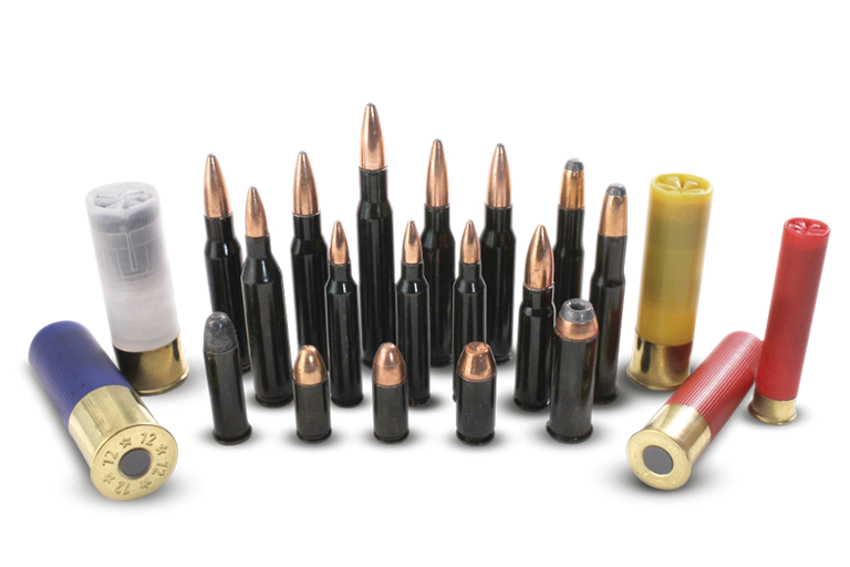 Traditions Training Cartridges 11076298