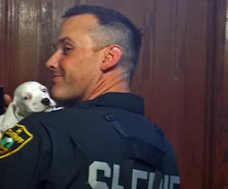 Spokane County Deputy Marc Melville said he couldn't resist the puppy's charms and took him home. Spokane County Deputy Marc Melville said he couldn't resist the puppy's charms and took him home.
