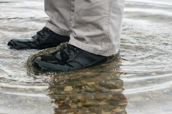 Altai Pic10 11147938