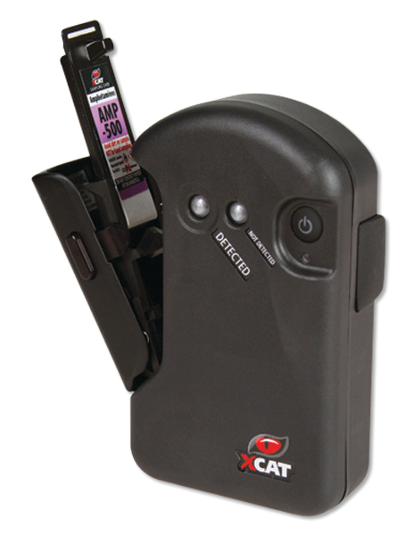 Xcat Open Wtestcard Lrg 11148717