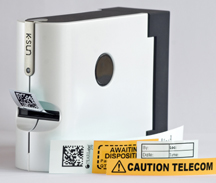 Pearl1aweb4ddm3rm5jif7i 11186316