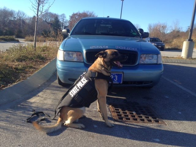 Eight police dogs of the Maine State Police Canine Unit are now outfitted with protective vests just like their human counterparts.