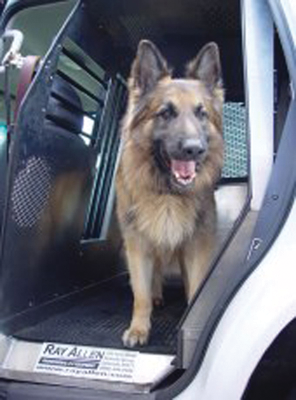 Make sure you clean every surface of the canine containment unit.