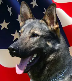 K9laslo 11386362 K9laslo 11386362