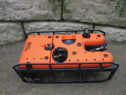 Triggerfish T4h 11498639 Triggerfish T4h 11498639